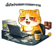 813853206