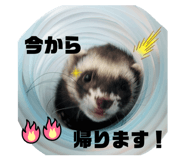 813931373