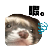 813931374
