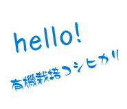 813931747