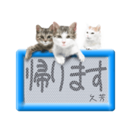 813951997