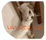 813977715