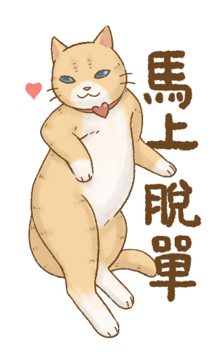 Cat's Lifestyle Purrfect Horse Year รูปที่ 9