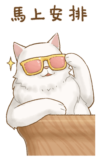 Cat's Lifestyle Purrfect Horse Year รูปที่ 12