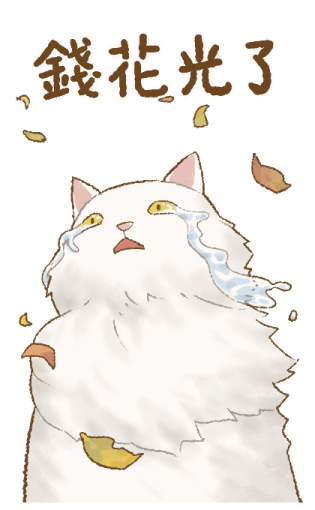 Cat's Lifestyle Purrfect Horse Year รูปที่ 24