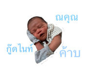 814034081