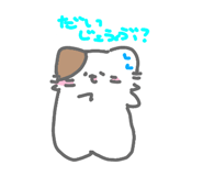 814036097