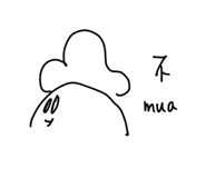 814041911