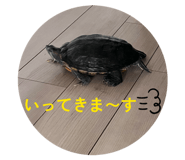814063437
