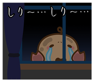 814071146