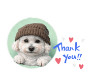 814073218