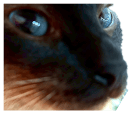 814080503
