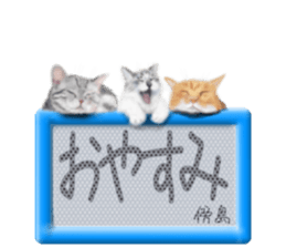 814097025