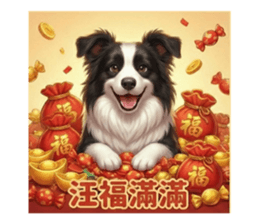 814122037
