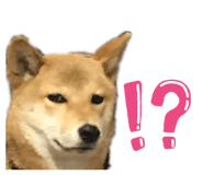 814134798