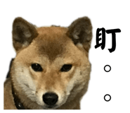 814134799