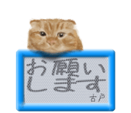 814143972