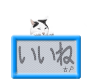 814143981