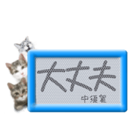 814191616