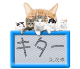 814191752
