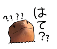 814219273