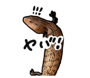 814219281