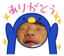 814222951