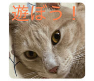 814236596