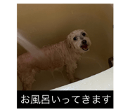 814261808