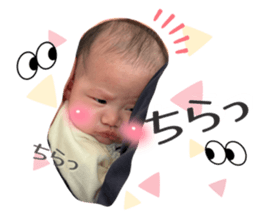 814262205