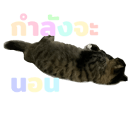 814270966