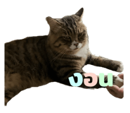 814270975