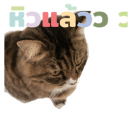 814270976