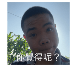 814287962