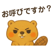 814293823