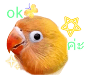 814333355