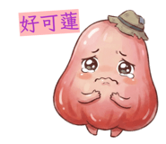 814342055