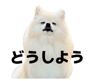 814365475