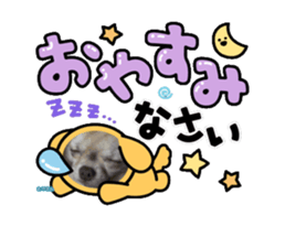 814379932