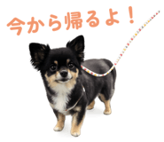 814408876