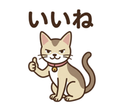 814431818