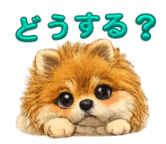 814466872
