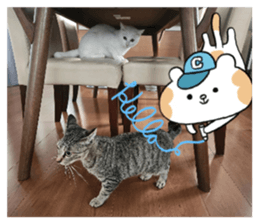 814470056