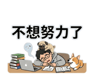 814491682