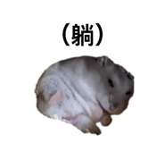 814491930
