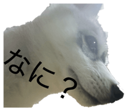 814495611