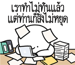 ลายที่ 51