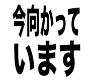 814533503