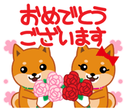 814552315