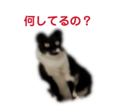 814563975